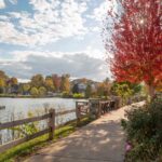 Fall color and blue skies line the lakeside Rose Walk