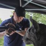 Rapid Center engineer scans Catamount statue